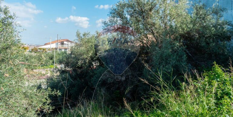 20251202153920-1005958-9