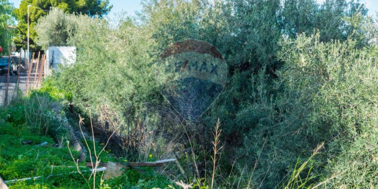 20251202153930-1005958-12