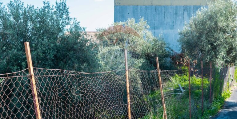 20251202153937-1005958-14