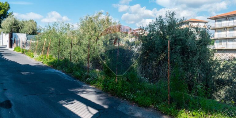 20251202153951-1005958-18