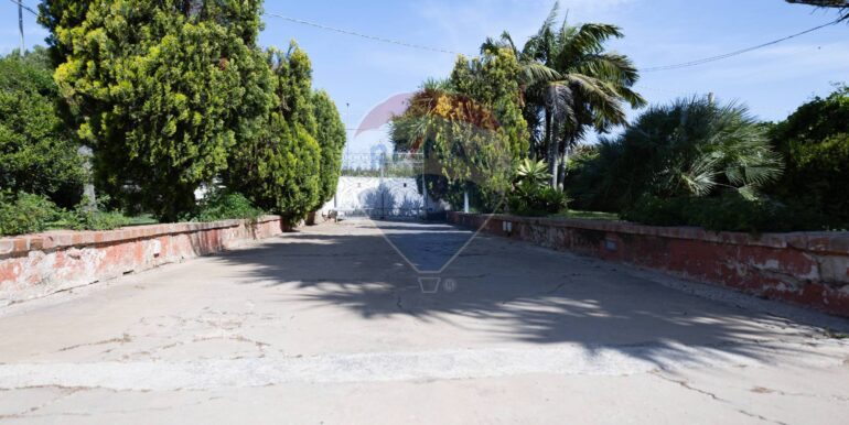 20251203155136-1006172-0