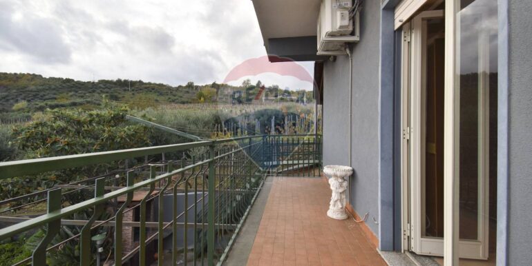 20251203175254-1006208-5