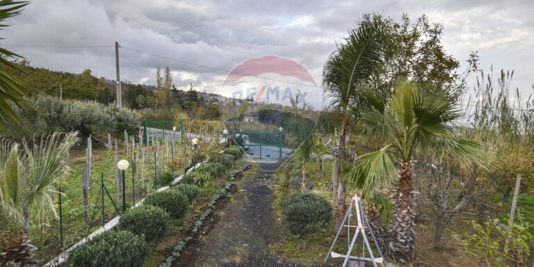 20251203175313-1006208-13