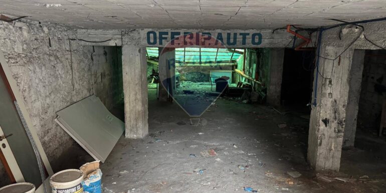 20251203193005-1006255-2