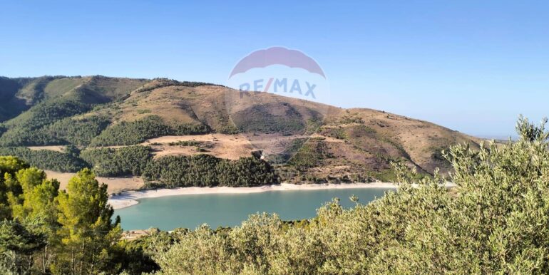 20251203202821-1006262-0