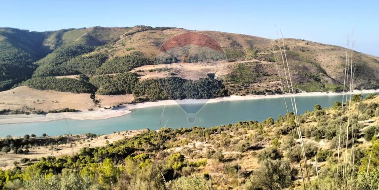 20251203202822-1006262-1