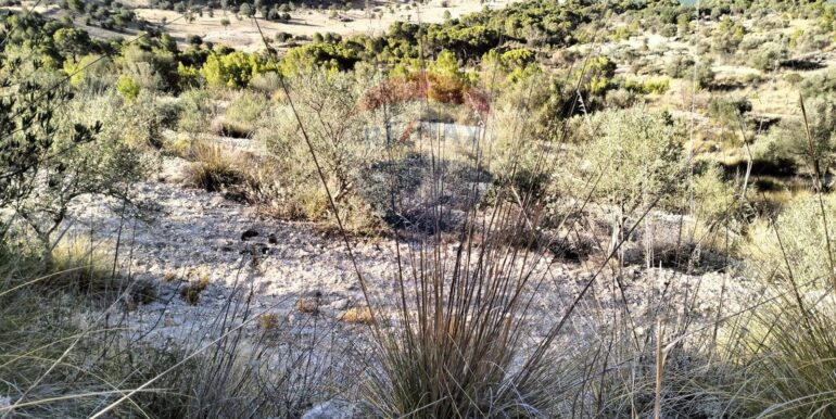 20251203202822-1006262-2