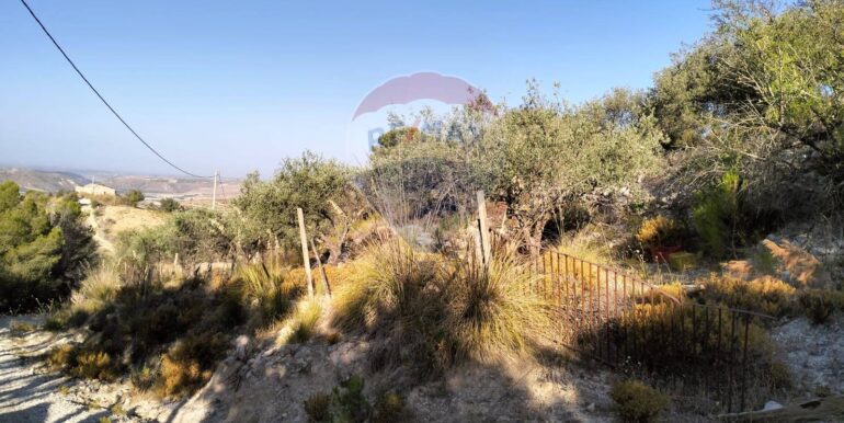 20251203202822-1006262-4