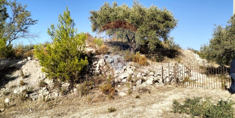 20251203202823-1006262-5