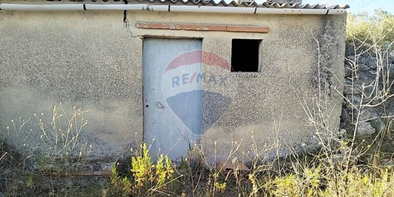 20251203202823-1006262-8