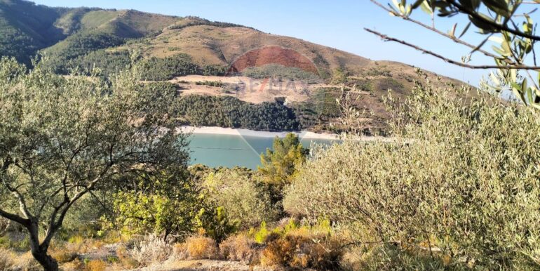 20251203202823-1006262-9