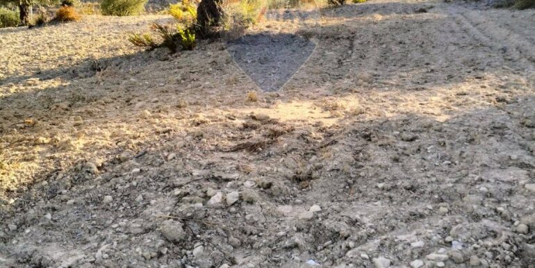 20251203202824-1006262-10