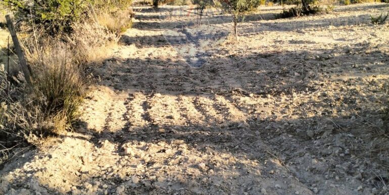 20251203202824-1006262-11