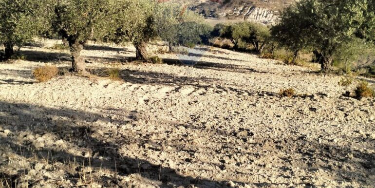 20251203202824-1006262-12