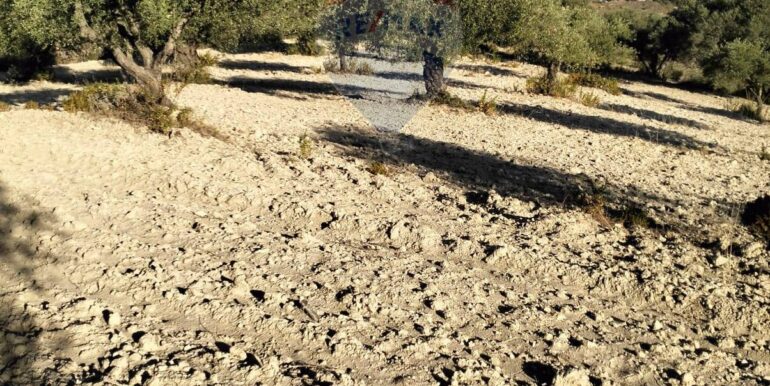 20251203202824-1006262-13