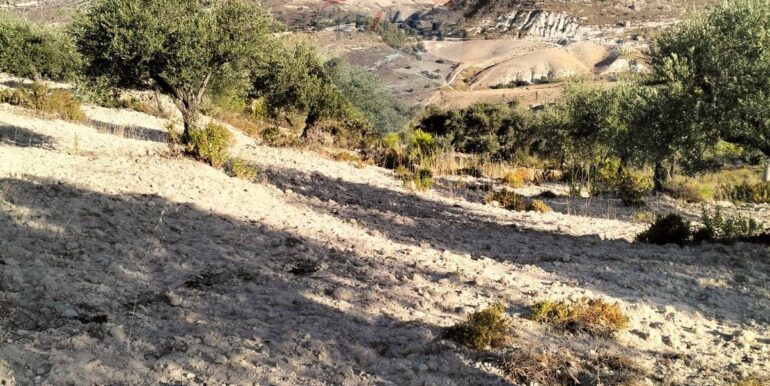 20251203202825-1006262-14