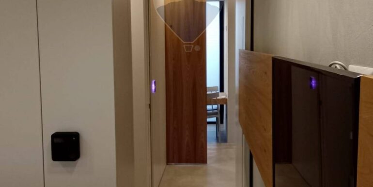 2025120385630-1006085-3