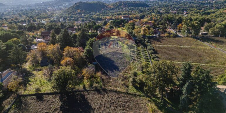 20251204155928-1006421-3