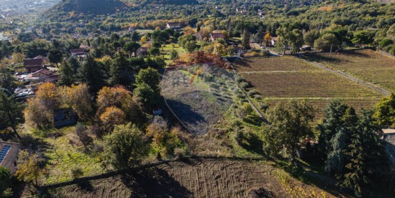 20251204155931-1006421-4