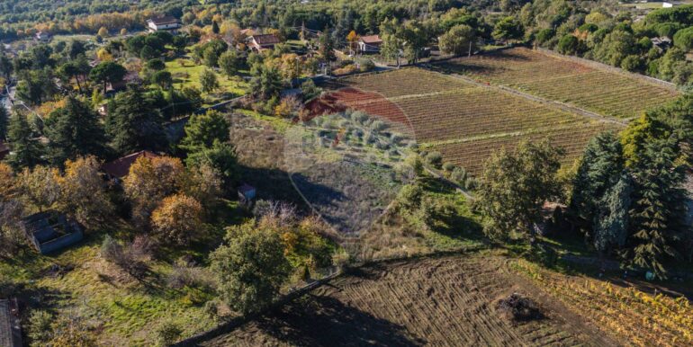 20251204155934-1006421-5