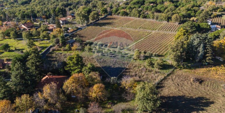 20251204155937-1006421-6