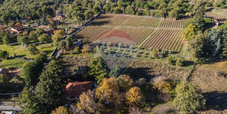 20251204155941-1006421-7