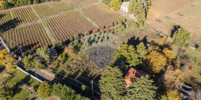 20251204155950-1006421-10