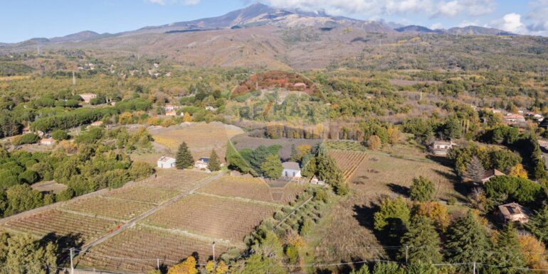 20251204155956-1006421-12