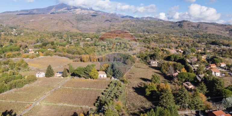 20251204155959-1006421-13