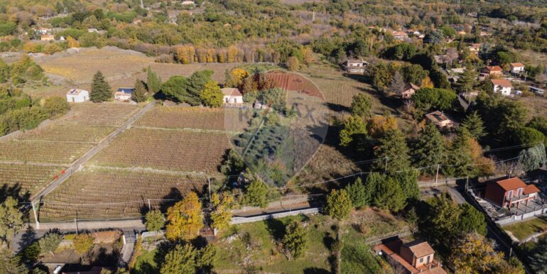 20251204160003-1006421-14