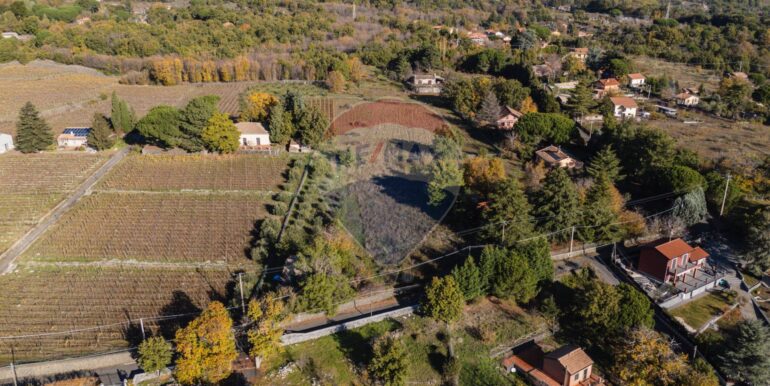 20251204160009-1006421-16