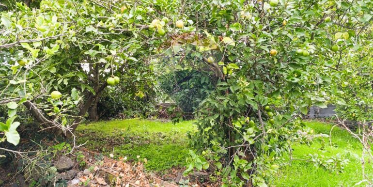 20251204165607-1006444-2