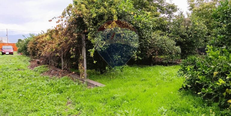 20251204165611-1006444-3