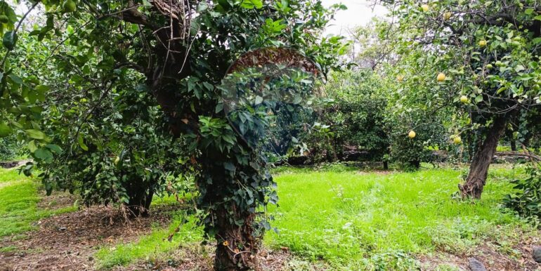 20251204165615-1006444-4