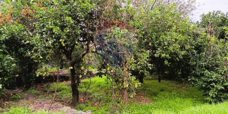 20251204165619-1006444-5