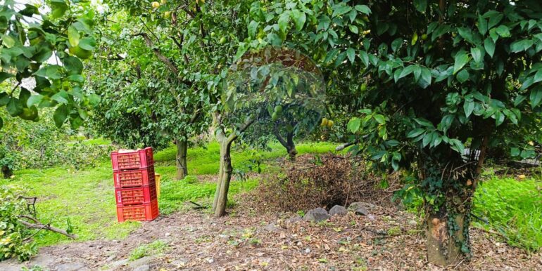 20251204165624-1006444-6