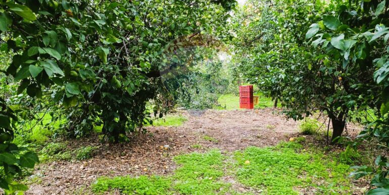 20251204165628-1006444-7