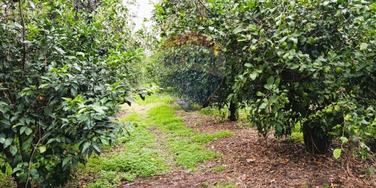 20251204165632-1006444-8