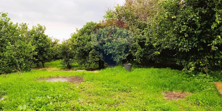 20251204165636-1006444-9