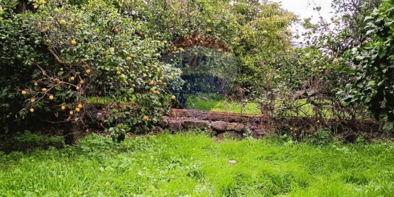 20251204165641-1006444-10