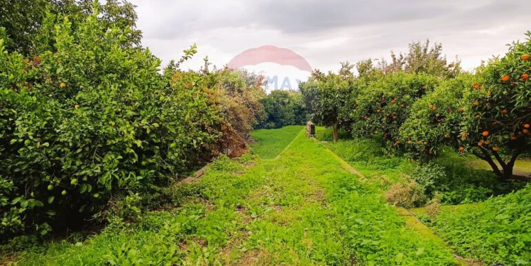 20251204165644-1006444-11