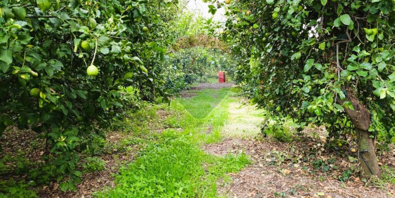 20251204165648-1006444-12