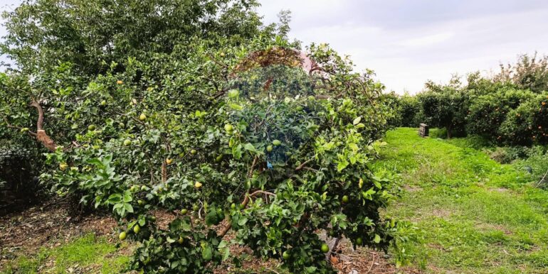 20251204165652-1006444-13