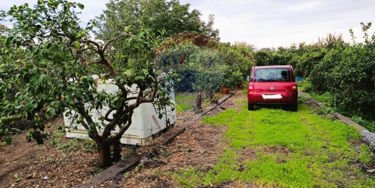 20251204165656-1006444-14