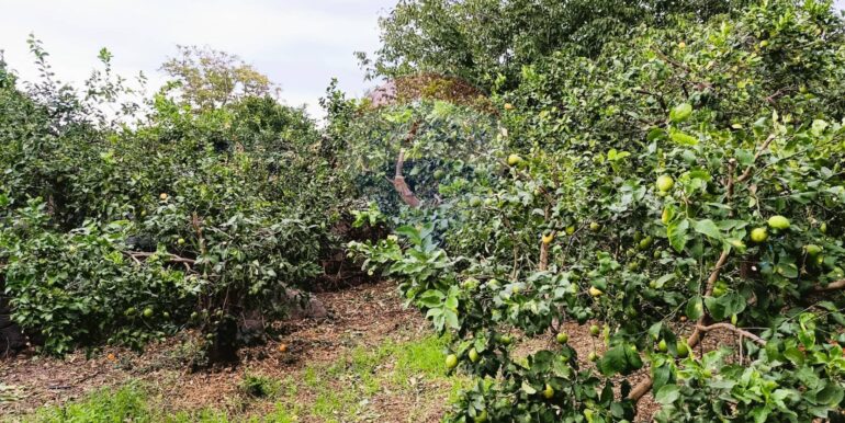 20251204165701-1006444-15