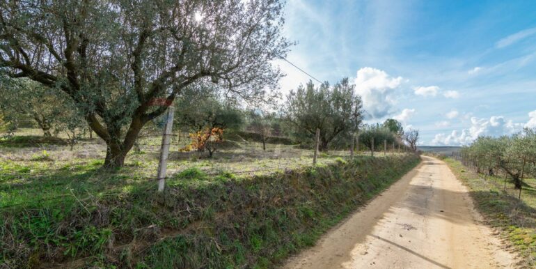 2025120483014-991579-4