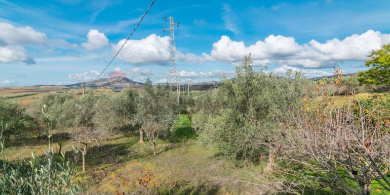 2025120483037-991579-10