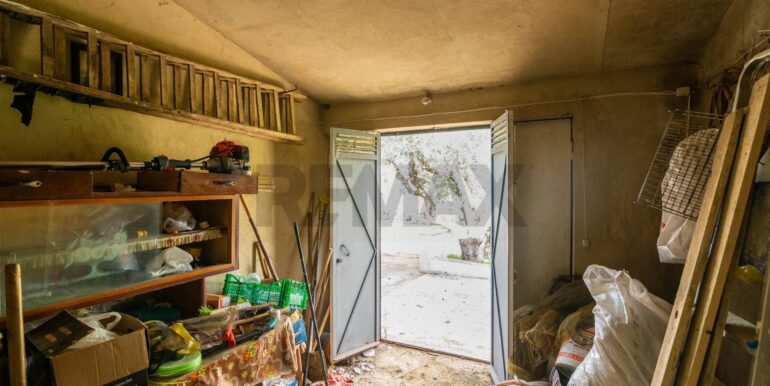 2025120483118-991579-21