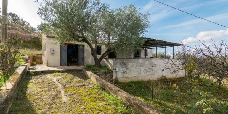 2025120483132-991579-25