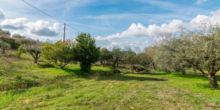 2025120483143-991579-28